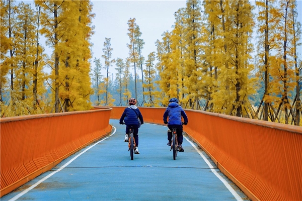 78座“靚”橋,成都公園城市的魅力表達