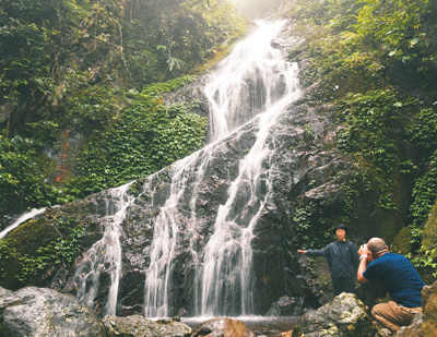 走進海南熱帶雨林國家公園——展示熱帶雨林之美