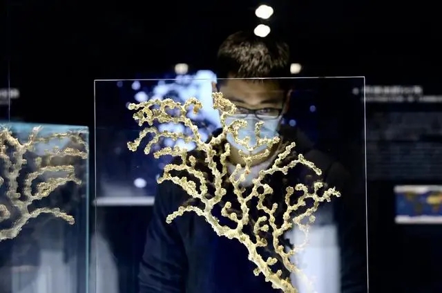 上海舉辦深海園林展 用中國園林意境講述深海奧秘