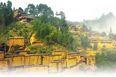 農業文化遺產——為保護生物多樣性貢獻中國智慧