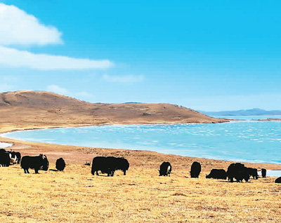 中國這樣優(yōu)化自然保護地體系