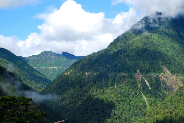 云南將創建4個國家公園