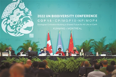 2022年世界林草十大關注熱點