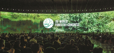 2022年世界林草十大關注熱點