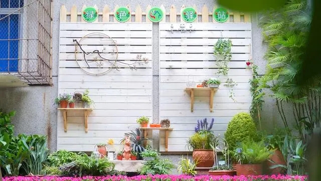 武漢將建設各類公園100座 串珠成鏈織鏈成網