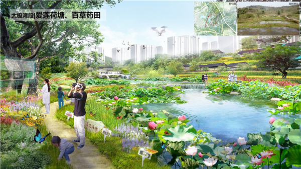 重慶市涪陵高新區(qū)淶灘河生態(tài)修復(fù)規(guī)劃設(shè)計(jì)