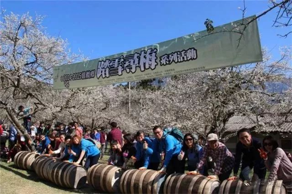 南投縣信義鄉：發揮地理優勢，打造梅子夢工廠