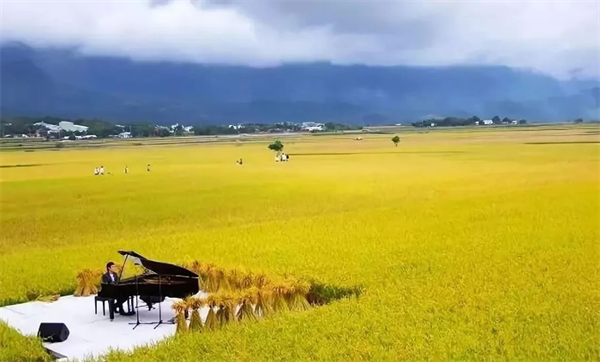 臺東縣池上鄉(xiāng)：稻米之鄉(xiāng)奏響四季樂章
