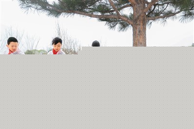 習近平：掀造林綠化熱潮繪美麗中國更新畫卷
