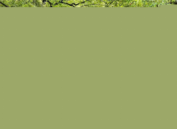 園冶杯獲獎作品丨合肥逍遙津公園提升改造