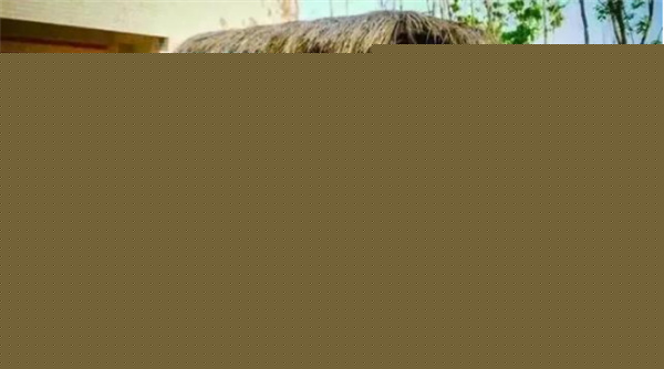 臺南市土溝村：藝術介入社區營造，探索現代農村生活模式