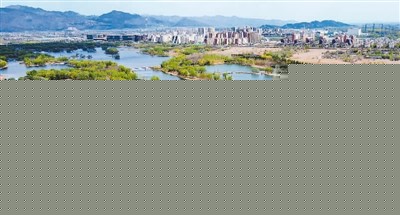 時代變革中的文化遺產，如何保護利用？