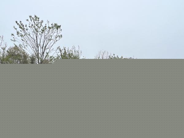 第十二屆江蘇省園藝博覽會將于26日開幕 記者提前探園