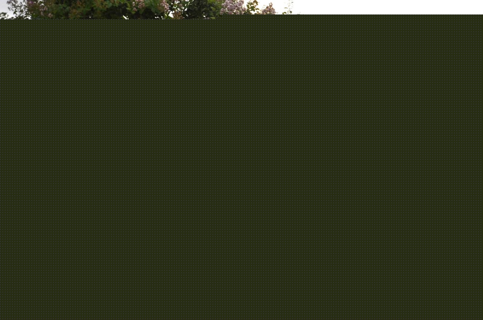賓亞米納體育公園