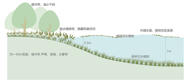 馬鑾灣新城集美片區(qū)水生態(tài)修復工程(二期)