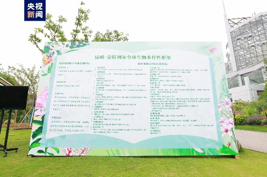 上海建成430余座城市公園 將發(fā)布新一版生態(tài)保護(hù)紅線