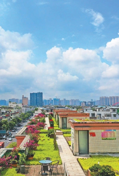 成都天府新區：讓公園城市有機生長