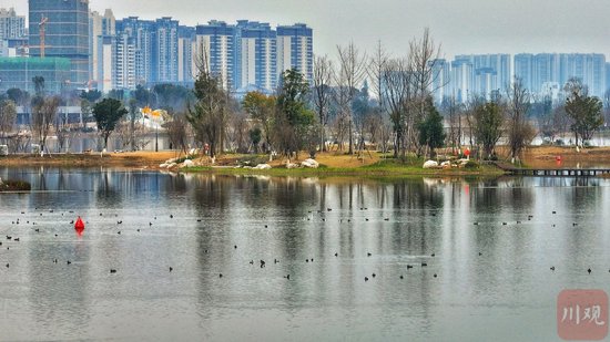 成都不斷探索公園城市建設(shè)實(shí)踐路徑