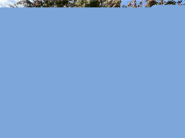 或然景觀丨活力草坪作為生活水岸目的地