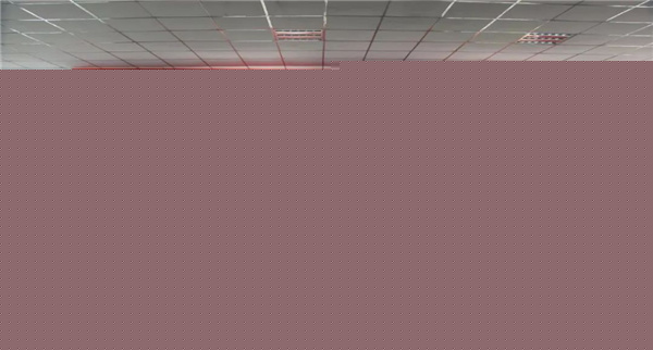 陜西五豐社區鄉村振興戰略規劃