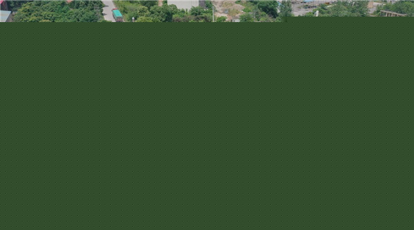 園冶杯參賽作品丨嘉魚縣濱江生態提升