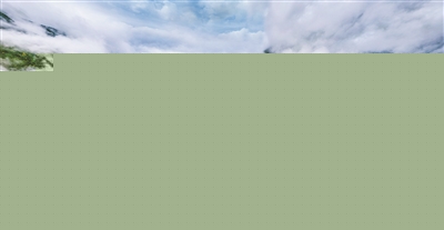 大熊貓國家公園：人與自然和諧共生的瑰麗圖景