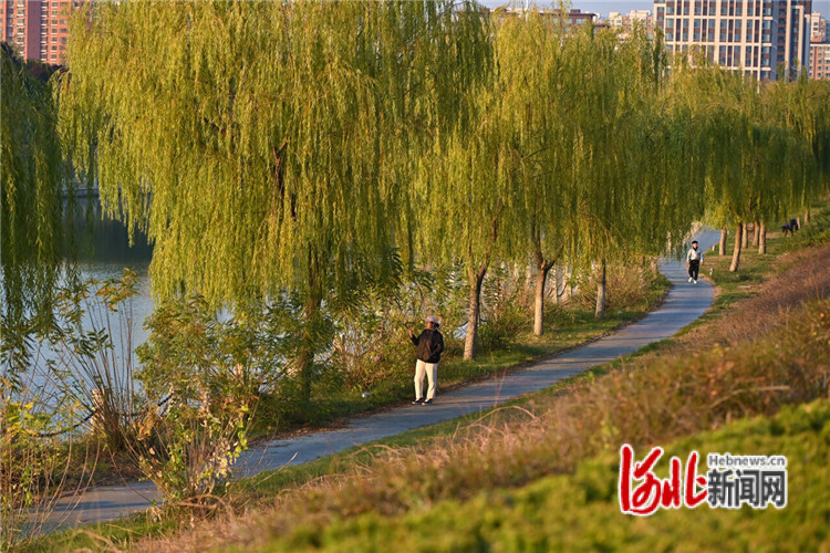 河北衡水建“一湖三區”綠廊，綠出高顏值美出高品質