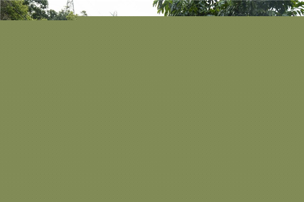 方行設(shè)計(jì)丨筆架山公園北側(cè)入口及邊界設(shè)計(jì)