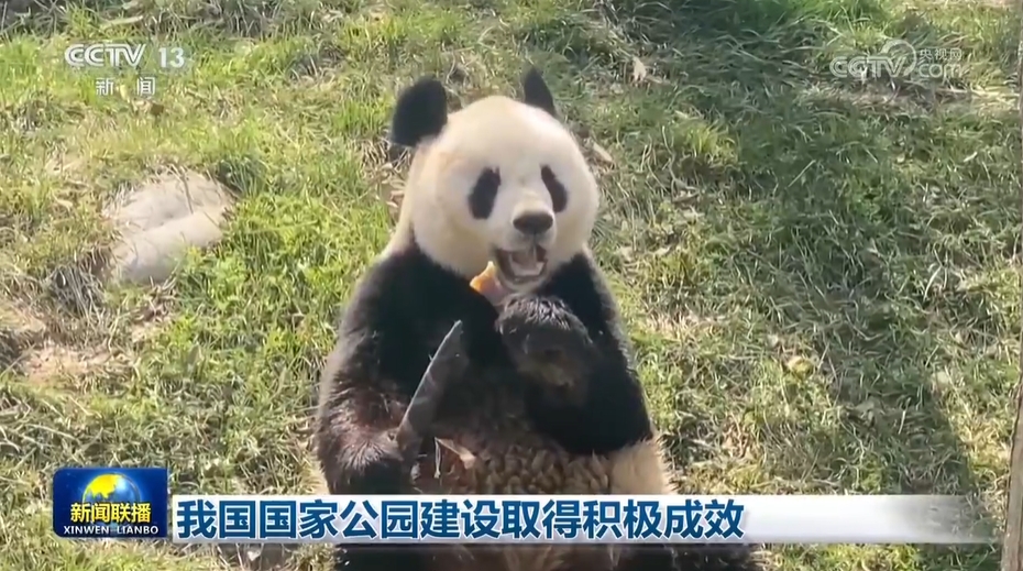 我國(guó)國(guó)家公園建設(shè)取得積極成效