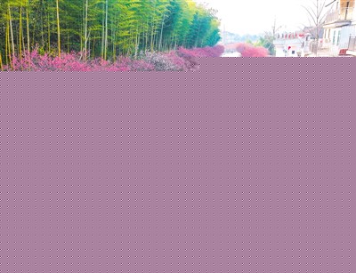 “綠色”名片如何為城市旅游加分