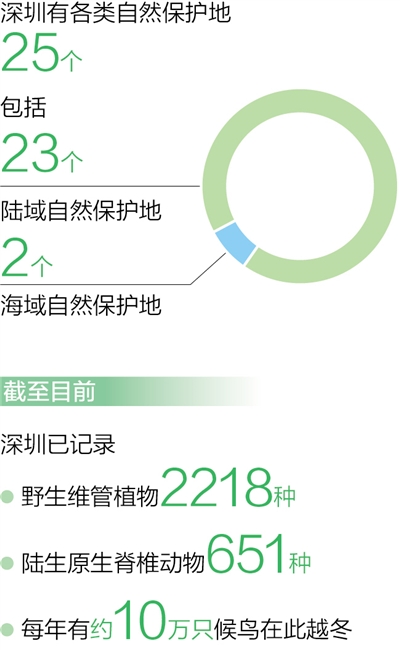 深圳：超大型城市也能留足生態(tài)空間