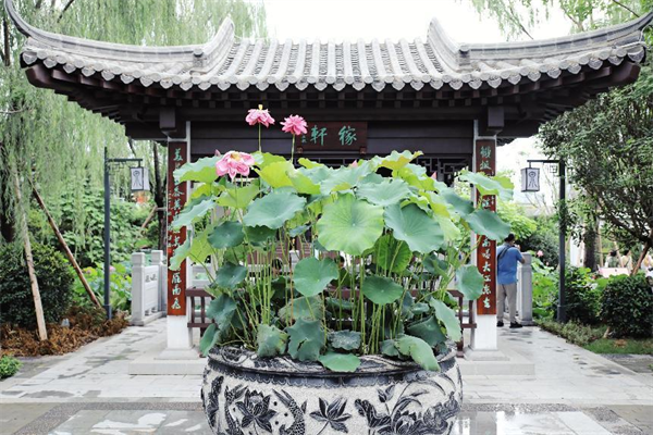 “行業(yè)媒體成都世園行”看見(jiàn)不一樣的世園會(huì)