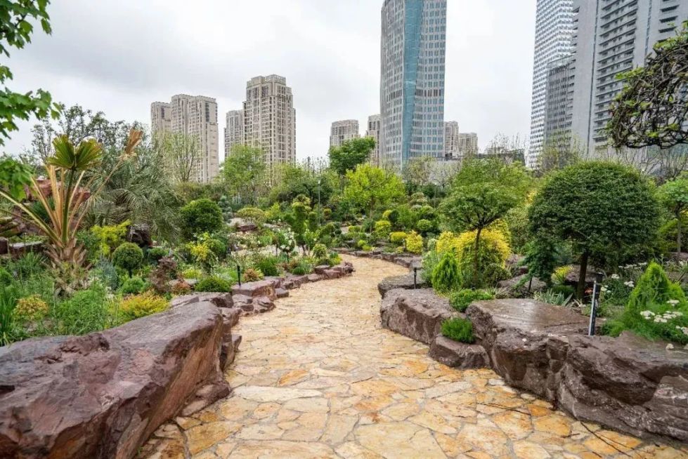 上海世博文化公園“花藝園”完成竣工驗(yàn)收