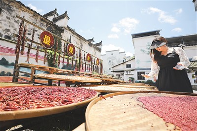 鄉(xiāng)村旅游提質(zhì)升級(jí) 成為國內(nèi)游一大亮點(diǎn)