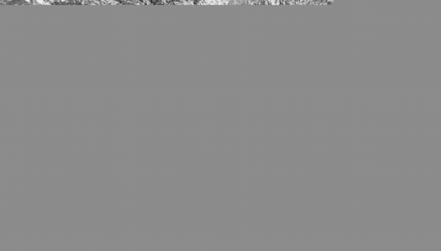 南工大這位“獲獎達人”火出圈