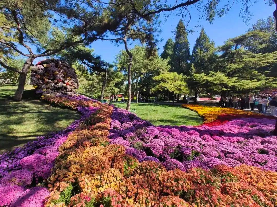 “公園+”激活“花園經(jīng)濟” 朝陽花園節(jié)3月20日啟幕