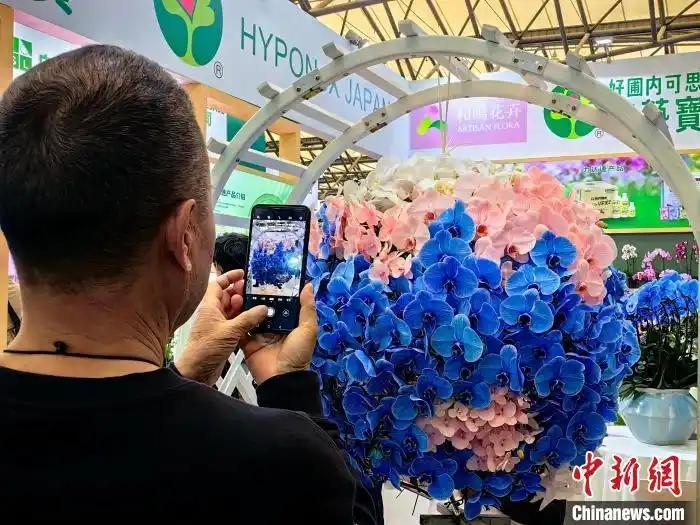 中國國際花卉園藝展覽會(huì)在上海舉行