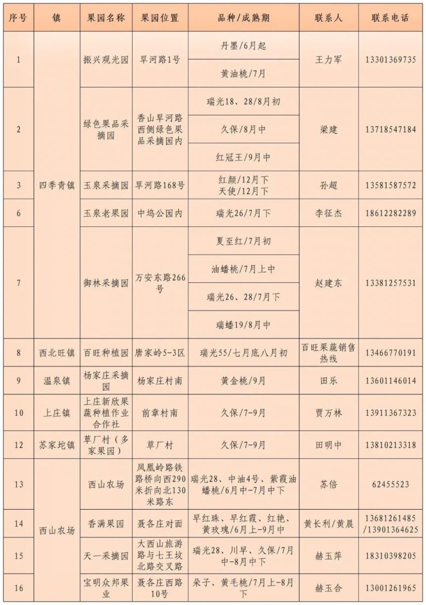 碩果飄香·豐涵海淀——海淀鮮桃采摘季：盛夏甘甜，果香滿園