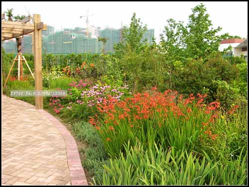 某公園的花境設(shè)計