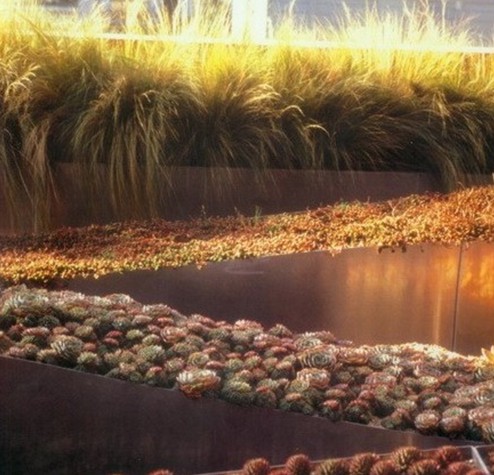 某屋頂露臺花園景觀設計