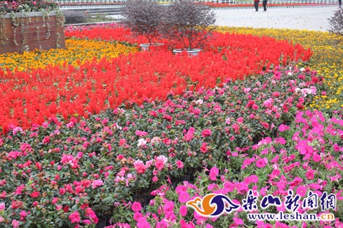 鮮花扮靚樂(lè)山城