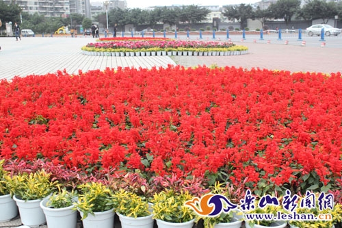 樂(lè)山廣場(chǎng)一片喜慶