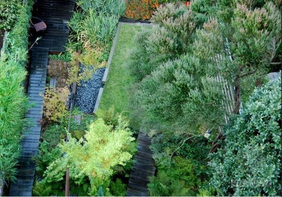 不用澆水的花園