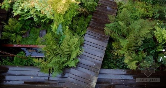 不用澆水的花園