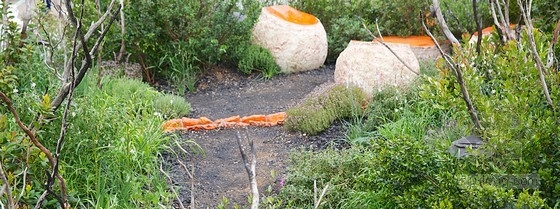 2013切爾西花展最具新意獎——“浴火重生”花園