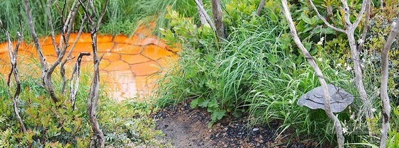 2013切爾西花展最具新意獎——“浴火重生”花園