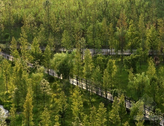 畢路德設計的四川遂寧涪江濕地公園