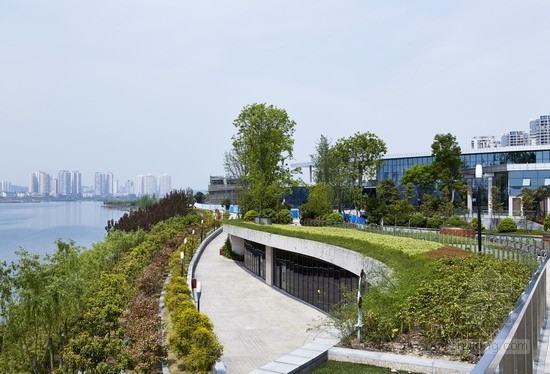 畢路德設計的四川遂寧涪江濕地公園