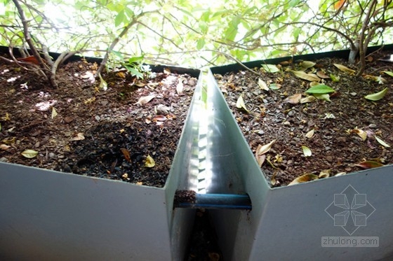 巴塞羅那住宅垂直花園