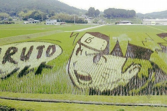 日本田舍館村村民設(shè)計的巨型稻田插畫藝術(shù)